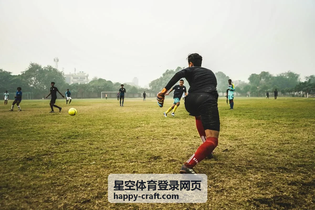 星空体育登录网页的网页版功能与操作指南当前页面